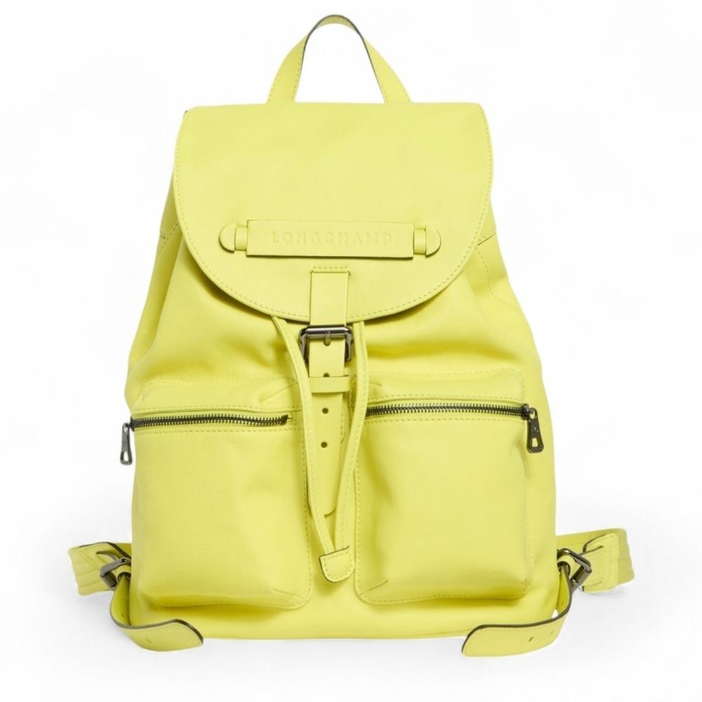 Men's Longchamp Newest Leather Quality Large Backpack